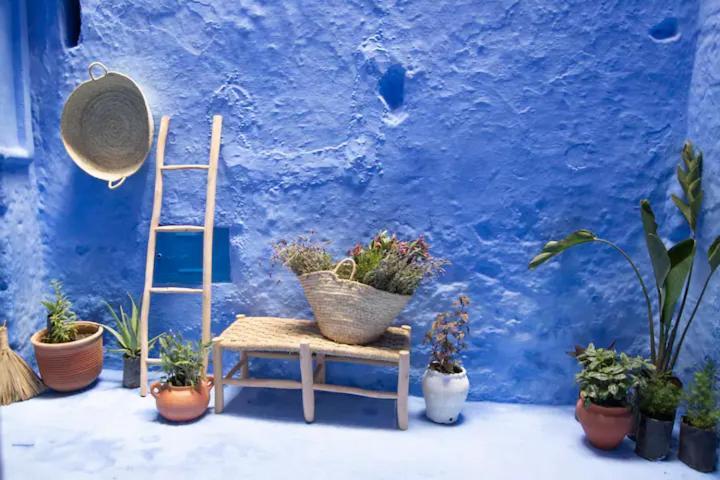 Dar Yamina Suika Hotel Chefchaouen Bagian luar foto
